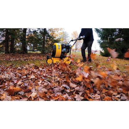 Champion Power Equipment 160 mph 224cc 1300 CFM Walk-Behind Gas Leaf Blower 201529