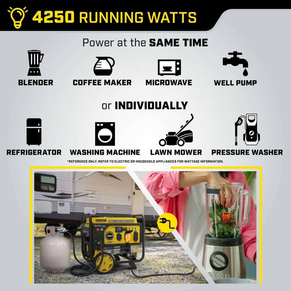 Champion Power Equipment 5300/4250-Watt Recoil Start Dual Fuel Portable Generator w/ Free 3-Year Warranty for RV and Home 201279